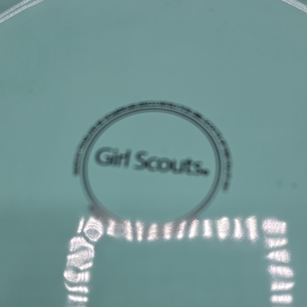 Girl Scout Cookies Plate - Picture 2 of 4